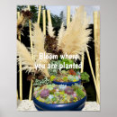 Buscar plantas suculentas posters General y unisex