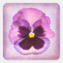 Buscar violas pegatinas Flor