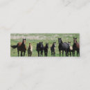 Buscar caballo del bebé tarjetas de visita Potro
