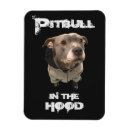 Buscar pitbull imanes Humor