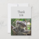 Buscar oso de koala tarjetas Para todos