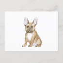 Buscar french bulldog postales Pet