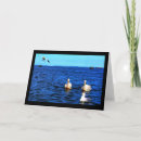 Buscar win tarjetas Para todos