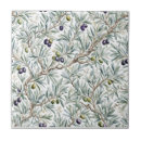Buscar aceitunas azulejos Botánico