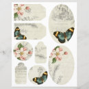 Buscar album papeleria Ephemera