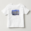 Buscar waterfowl camisetas Montaña