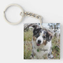 Buscar heeler llaveros Aussie