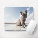 Buscar animals alfombrillas de raton Canine