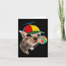 Buscar rally tarjetas Gatos