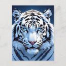Buscar ojos azules postales Tigre
