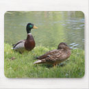 Buscar drake alfombrillas de raton Pato