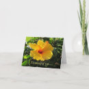 Buscar hibisco tarjetas Hawái