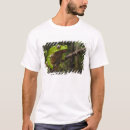Buscar bicolor camisetas Anfibio