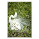 Buscar actitud fotografía Naturaleza
