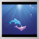 Buscar delfín azul posters Rosa