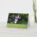 Buscar border collie tarjetas Divertido