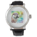Buscar kitten accesorios Feline