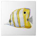 Buscar pescados amarillos azulejos Vida marina