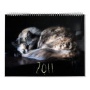 Buscar gato calendarios 2011
