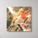 Buscar petirrojo posters Redbreast