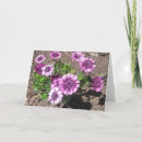 Buscar pasión tarjetas Primavera