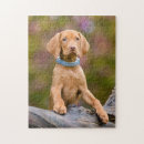 Buscar perro de caza puzzles Perrito