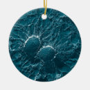 Buscar microbiología adornos Bacterias