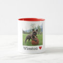 Buscar bulldog francés tazas Para mascotas