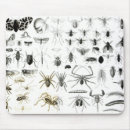 Buscar arácnidos alfombrillas de raton Escorpión