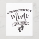 Buscar bebé flyers Familia