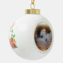 Buscar primos adornos Gato