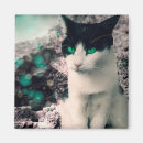 Buscar gatito suave imanes Para todos