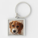 Buscar beagle llaveros Perrito