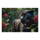 Buscar pantera negra posters Gatos grandes