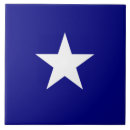 Buscar bandera del estado de azulejos Estados unidos