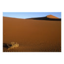 Buscar namibia posters Naranja
