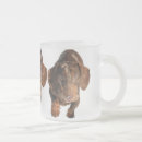 Buscar mascotas heladas tazas Helado