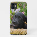 Buscar laboratorio negro iphone fundas Cachorro