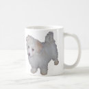 Buscar havanese tazas Perro
