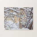 Buscar lince puzzles Félidos