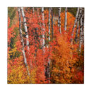 Buscar acer azulejos Otoño