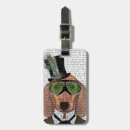 Buscar dach Animales