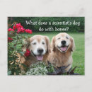 Buscar científico postales divertido