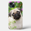 Buscar puño iphone fundas Animal