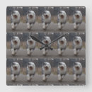 Buscar ovejas relojes de pared Perro pastor