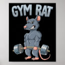 Buscar rata posters 2 º gimnasia
