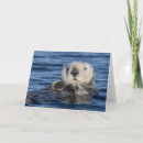 Buscar otter tarjetas Mar