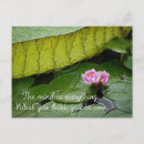 Buscar waterlily postales Loto