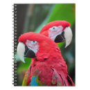 Buscar loro libretas Pájaros