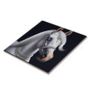 Buscar blanco caballo azulejos Equino